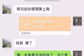 宝兴如何避免债务纠纷？专业追讨公司教您应对之策